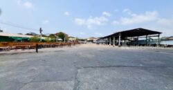ขายที่ดิน พร้อมโกดัง พระสมุทรเจดีย์ สมุทรปราการ ผังสีแดง แปลงสวย ใกล้ศุลกากรฯ ท่าเรือ