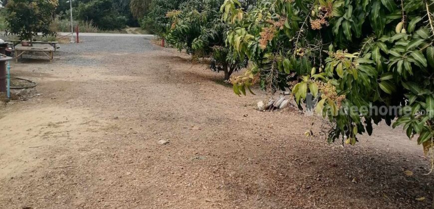 ขาย ที่ดิน แปลงสวยๆ อยู่ไม่ไกล ลำลูกกา มีนบุรี หนองจอก