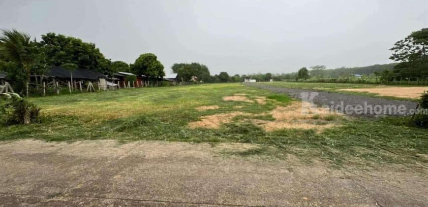 ขายด่วน ที่ดิน หลังโรงเรียนแม่แตง เชียงใหม่
