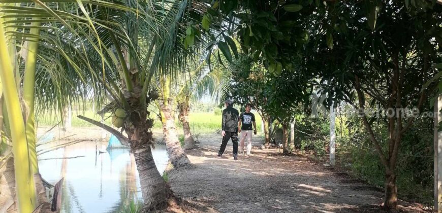 ขาย ที่ดิน แปลงสวยๆ อยู่ไม่ไกล ลำลูกกา มีนบุรี หนองจอก