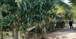 ขาย ที่ดิน แปลงสวยๆ อยู่ไม่ไกล ลำลูกกา มีนบุรี หนองจอก