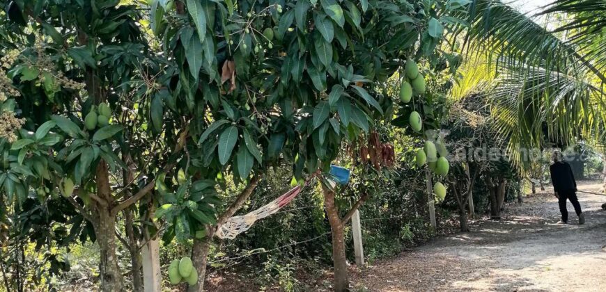 ขาย ที่ดิน แปลงสวยๆ อยู่ไม่ไกล ลำลูกกา มีนบุรี หนองจอก