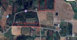 ที่ดิน ป่าไม้จอมไพร 32-3-34 ไร่ พร้อมป่าสัก ปากช่อง ราชบุรี