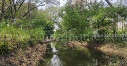 ที่ดิน ป่าไม้จอมไพร 32-3-34 ไร่ พร้อมป่าสัก ปากช่อง ราชบุรี