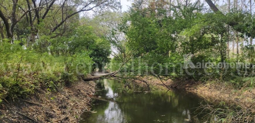 ที่ดิน ป่าไม้จอมไพร 32-3-34 ไร่ พร้อมป่าสัก ปากช่อง ราชบุรี