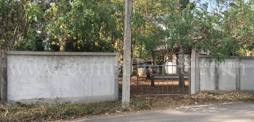 ที่ดิน ป่าไม้จอมไพร 32-3-34 ไร่ พร้อมป่าสัก ปากช่อง ราชบุรี