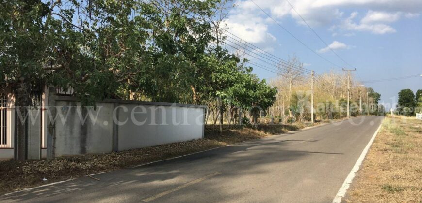 ที่ดิน ป่าไม้จอมไพร 32-3-34 ไร่ พร้อมป่าสัก ปากช่อง ราชบุรี