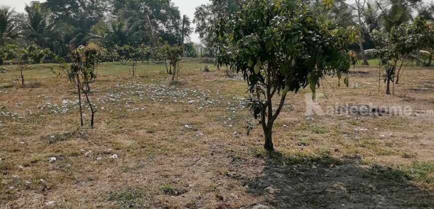 ขาย ที่ดิน แปลงสวยๆ อยู่ไม่ไกล ลำลูกกา มีนบุรี หนองจอก