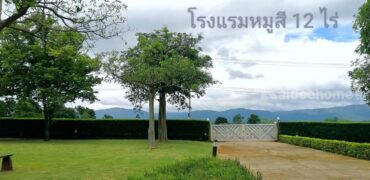 ขายโรงแรมเขาใหญ่ หมูสี ปากช่อง 12 ไร่ โรงแรมสวยพร้อมดำเนินกิจการได้เลย วิวเขาใหญ่สวยมาก ใกล้ถนนธนะรัชต์ สถานที่ท่องเที่ยวมากมาย กิจการดีมาก Best Deal Most Value ที่สุด 087-9074045