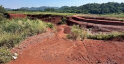 ขายที่ดินเขาใหญ่ ขนงพระ ปากช่อง 23 ไร่ ขายถูกไร่ละ 1 ล้าน ที่สูงใกล้เขา วิวเขาสวยมาก บรรยากาศดี เหมาะซื้อเก็บ พัฒนาต่อได้เลย ถนนหน้าที่ดินกว้าง แปลงมีอนาคต 087-9074045