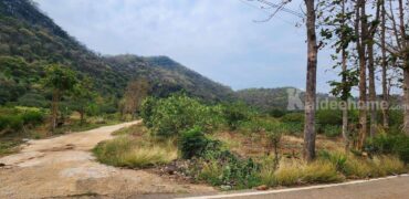 ขายที่ดินเขาใหญ่ ที่ติดเขา เขาวง หนองน้ำแดง ปากช่อง 11 ไร่ ที่ใจกลางขุนเขา วิวเขาล้อมรอบ โซนเจ้าสัว ติดถนนลาดยาง ใกล้ธนะรัชต์ กุดคล้า ถนนมิตรภาพ เหมาะทำรีสอร์ท โรงแรม พูลวิลล่า 087-9074045