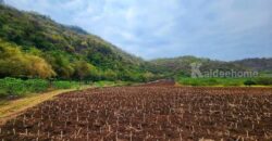 ขายที่ดินเขาใหญ่ ที่ติดเขา เขาวง หนองน้ำแดง ปากช่อง 11 ไร่ ที่ใจกลางขุนเขา วิวเขาล้อมรอบ โซนเจ้าสัว ติดถนนลาดยาง ใกล้ธนะรัชต์ กุดคล้า ถนนมิตรภาพ เหมาะทำรีสอร์ท โรงแรม พูลวิลล่า 087-9074045