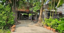 ขายที่ดินสุขุมวิท 64 บางจาก พระโขนง ที่ดิน 104 ตร.ว ถนนหน้าที่ดินกว้าง ใกล้ รถไฟฟ้า BTS ปุณณวิถี บางจาก ใกล้ทางด่วนสุขุมวิท 62 ไปทองหล่อเอกมัยสะดวก 087-9074045
