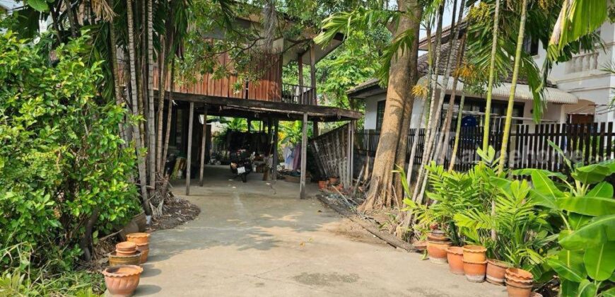 ขายที่ดินสุขุมวิท 64 บางจาก พระโขนง ที่ดิน 104 ตร.ว ถนนหน้าที่ดินกว้าง ใกล้ รถไฟฟ้า BTS ปุณณวิถี บางจาก ใกล้ทางด่วนสุขุมวิท 62 ไปทองหล่อเอกมัยสะดวก 087-9074045