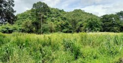 ขายที่ดินติดน้ำเขาใหญ่ หมูสี 12.5 ไร่ ติดน้ำลำตะคอง วิวเขาใหญ่ ใกล้ถนนธนะรัชต์ 800 เมตร ติดลาดยาง เดินทางสะดวก ขายถูก บรรยากาศดี ได้ทั้งน้ำและเขา เหมาะทำโรงแรม รีสอร์ท บ้านตากอากาศ 087-9074045