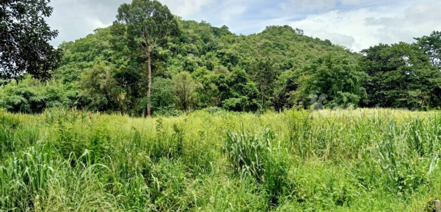 ขายที่ดินติดน้ำเขาใหญ่ หมูสี 12.5 ไร่ ติดน้ำลำตะคอง วิวเขาใหญ่ ใกล้ถนนธนะรัชต์ 800 เมตร ติดลาดยาง เดินทางสะดวก ขายถูก บรรยากาศดี ได้ทั้งน้ำและเขา เหมาะทำโรงแรม รีสอร์ท บ้านตากอากาศ 087-9074045