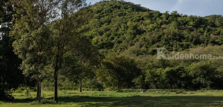 ขายที่ดินเขาใหญ่ ติดภูเขา ในโครงการจัดสรร เนื้อที่เริ่มต้น 276 ตร.ว ที่อยู่ใจกลางขุนเขา วิวเขาล้อมรอบสวยมาก อยู่หนองน้ำแดง ใกล้ธนะรัชต์ มอเตอร์เวย์ ห้างแม็คโคร ตัวเมืองปากช่อง เดินทางสะดวก 087-9074045