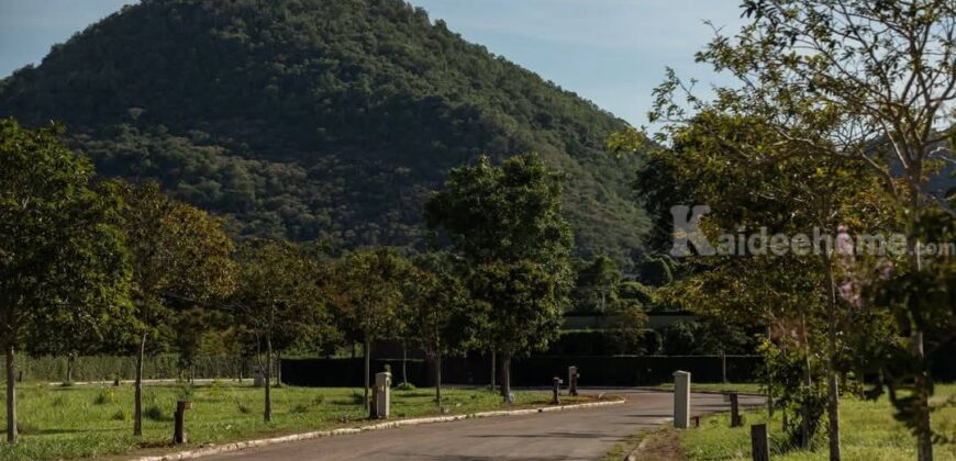 ขายที่ดินเขาใหญ่ ติดภูเขา ในโครงการจัดสรร เนื้อที่เริ่มต้น 276 ตร.ว ที่อยู่ใจกลางขุนเขา วิวเขาล้อมรอบสวยมาก อยู่หนองน้ำแดง ใกล้ธนะรัชต์ มอเตอร์เวย์ ห้างแม็คโคร ตัวเมืองปากช่อง เดินทางสะดวก 087-9074045