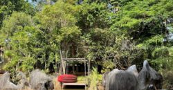 ขายบ้านเขาใหญ่ หมูสี ปากช่อง 165 ตร.ว 2 ห้องนอน 2 ห้องน้ำ บ้านตากอากาศติดน้ำ เลคทะเลสาป ในโครงการวู๊ดปาร์ค ติดถนนธนะรัชต์ ใกล้ห้าง ตลาด ร้านค้า ตัวเมืองปากช่อง 087-9074045