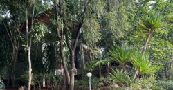 ขายบ้านเขาใหญ่ หมูสี ปากช่อง 165 ตร.ว 2 ห้องนอน 2 ห้องน้ำ บ้านตากอากาศติดน้ำ เลคทะเลสาป ในโครงการวู๊ดปาร์ค ติดถนนธนะรัชต์ ใกล้ห้าง ตลาด ร้านค้า ตัวเมืองปากช่อง 087-9074045