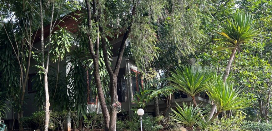 ขายบ้านเขาใหญ่ หมูสี ปากช่อง 165 ตร.ว 2 ห้องนอน 2 ห้องน้ำ บ้านตากอากาศติดน้ำ เลคทะเลสาป ในโครงการวู๊ดปาร์ค ติดถนนธนะรัชต์ ใกล้ห้าง ตลาด ร้านค้า ตัวเมืองปากช่อง 087-9074045