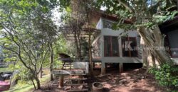 ขายบ้านเขาใหญ่ หมูสี ปากช่อง 165 ตร.ว 2 ห้องนอน 2 ห้องน้ำ บ้านตากอากาศติดน้ำ เลคทะเลสาป ในโครงการวู๊ดปาร์ค ติดถนนธนะรัชต์ ใกล้ห้าง ตลาด ร้านค้า ตัวเมืองปากช่อง 087-9074045