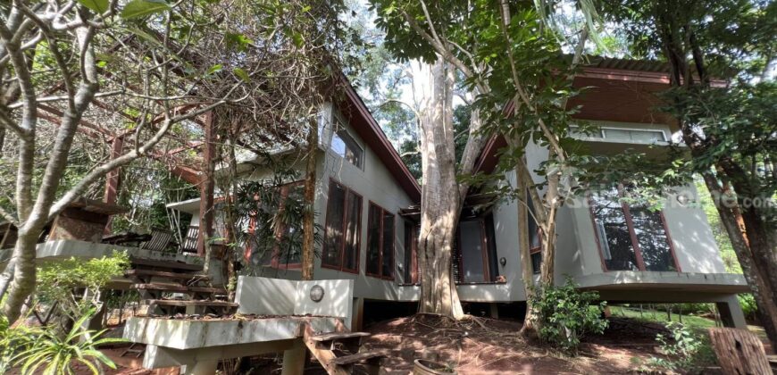 ขายบ้านเขาใหญ่ หมูสี ปากช่อง 165 ตร.ว 2 ห้องนอน 2 ห้องน้ำ บ้านตากอากาศติดน้ำ เลคทะเลสาป ในโครงการวู๊ดปาร์ค ติดถนนธนะรัชต์ ใกล้ห้าง ตลาด ร้านค้า ตัวเมืองปากช่อง 087-9074045