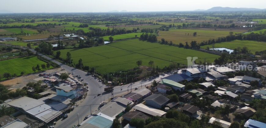 ✨ **ขายที่ดินแปลงใหญ่ ราคาดี! ติดถนนทางหลวง นครสวรรค์** ✨