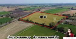 ✨ ขายที่ดิน 40 ไร่ นครสวรรค์ – ทำเลศักยภาพสูง เหมาะสำหรับการลงทุน ✨