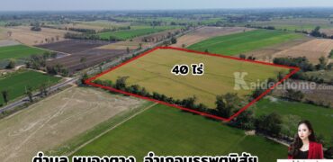 ✨ ขายที่ดิน 40 ไร่ นครสวรรค์ – ทำเลศักยภาพสูง เหมาะสำหรับการลงทุน ✨