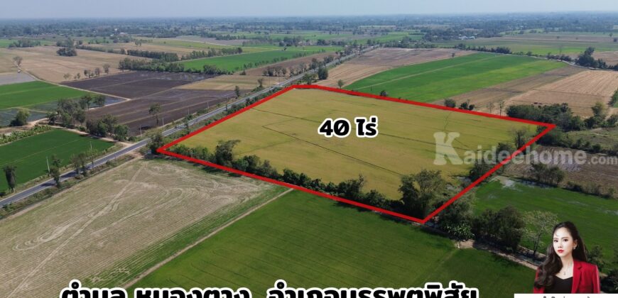 ✨ ขายที่ดิน 40 ไร่ นครสวรรค์ – ทำเลศักยภาพสูง เหมาะสำหรับการลงทุน ✨