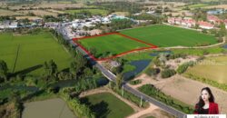 ✨ ขายที่ดิน 9 ไร่ 1 งาน 50 ตร.ว. นครสวรรค์ – ติดถนนทางหลวง ใกล้ตลาด ✨