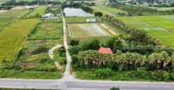 ✨ขายที่ดินทำเลดี 2 ไร่ ต.วังศาลา อ.ท่าม่วง จ.กาญจนบุรี✨