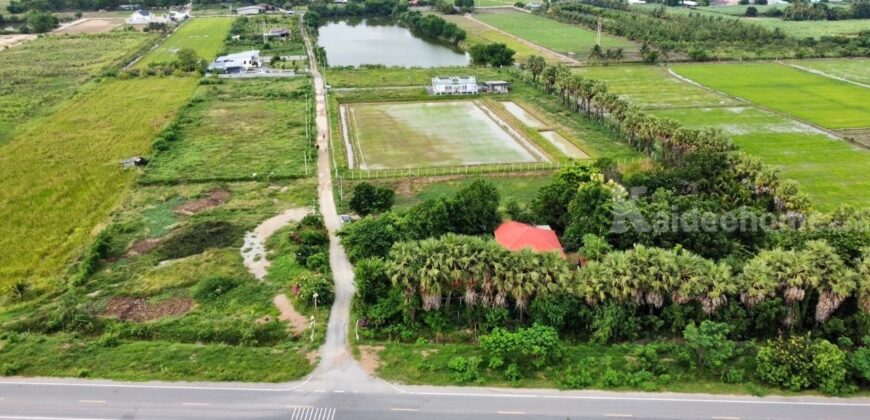 ✨ขายที่ดินทำเลดี 2 ไร่ ต.วังศาลา อ.ท่าม่วง จ.กาญจนบุรี✨