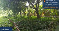 ขายที่ดิน 397 ตรว. ถมแล้ว สุขุมวิท 50 ซอยสวัสดี พระโขนง กรุงเทพ พื้นที่สีส้ม บรรยากาศดี เหมาะสร้างบ้านหรู ซื้อลงทุน โทร 0999568316