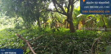 ขายที่ดิน 397 ตรว. ถมแล้ว สุขุมวิท 50 ซอยสวัสดี พระโขนง กรุงเทพ พื้นที่สีส้ม บรรยากาศดี เหมาะสร้างบ้านหรู ซื้อลงทุน โทร 0999568316