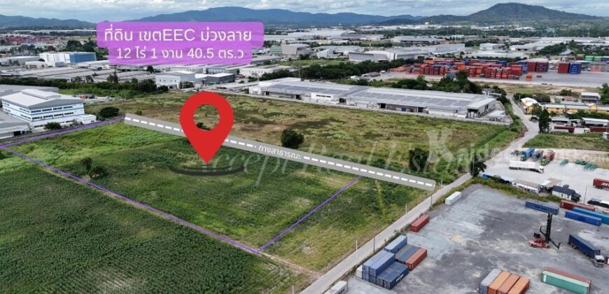 ขายที่ดินสีม่วงลาย ศรีราชา ชลบุรี ที่สวย ทำเลดีมาก