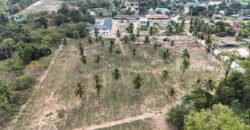 ขายที่ดินเส้นเขาชีจรรย์ พัทยา-ชลบุรี ทำเลดีบรรยากาศสุดฟิน ใกล้แหล่งท่องเที่ยว