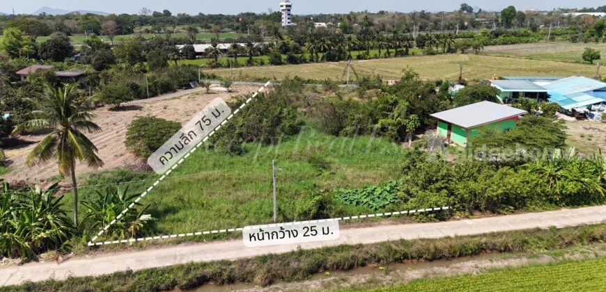 ที่ดินเปล่าล้อมรอบด้วยทุ่งนา บรรยากาศสุดฟิน อ.สรรพยา จ.ชัยนาท
