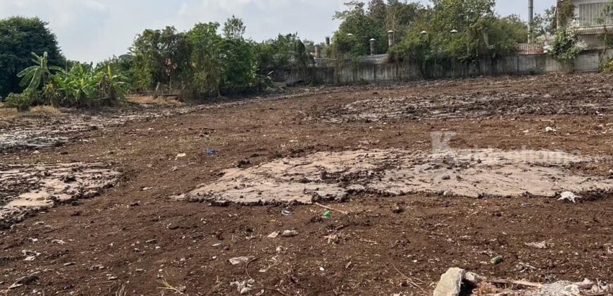 ขายที่ดินเปล่า หนองจอก มีนบุรี ทำเลดี