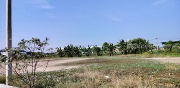 ขายที่ดินเปล่าถมแล้วมี+น้ำ+ไฟ