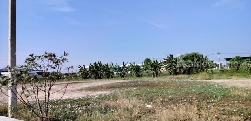 ขายที่ดินเปล่าถมแล้วมี+น้ำ+ไฟ