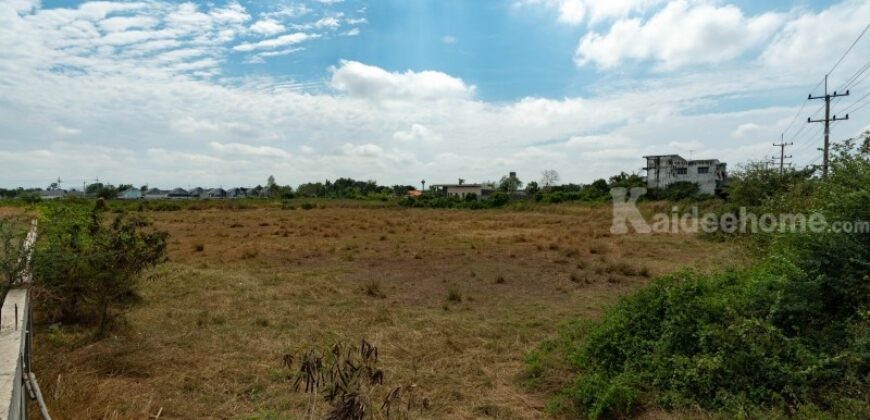 💥ขายที่ดินติดถนนมาลัยแมน 16 ไร่ 3 งาน 80 ตรว. หน้ากว้าง 110 ม. ต.สระสี่มุม อ.กำแพงแสน 💥