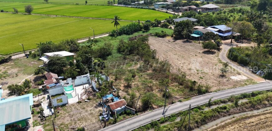 ที่ดินเปล่าล้อมรอบด้วยทุ่งนา บรรยากาศสุดฟิน อ.สรรพยา จ.ชัยนาท