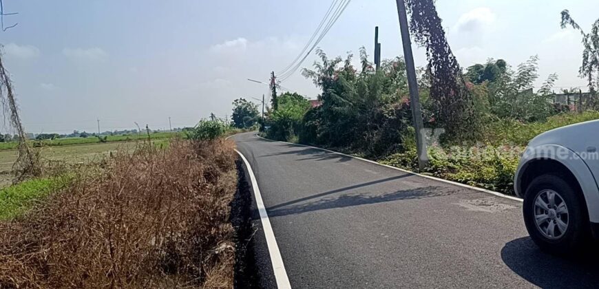 ที่ดินเปล่าล้อมรอบด้วยทุ่งนา บรรยากาศสุดฟิน อ.สรรพยา จ.ชัยนาท
