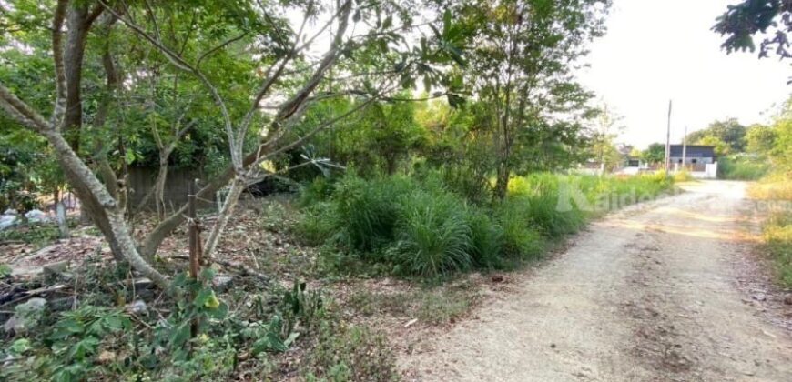 ที่ดินเปล่า 286 ตร.ว. ทำเลดี ใจกลางเมืองบ้านฉาง ระยอง