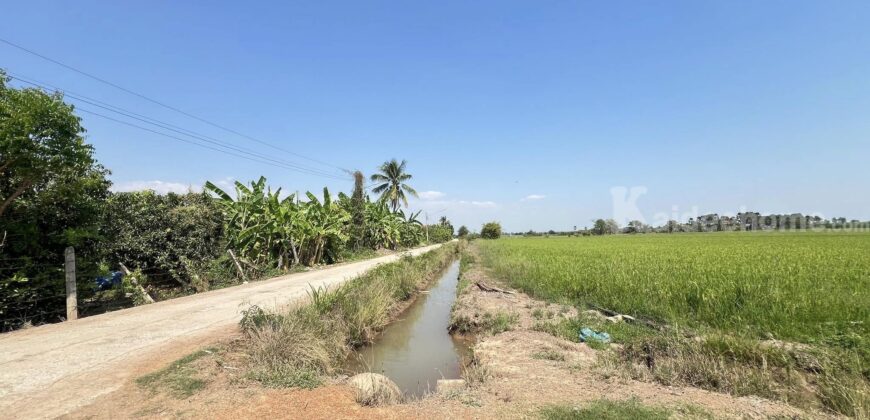 ที่ดินเปล่าล้อมรอบด้วยทุ่งนา บรรยากาศสุดฟิน อ.สรรพยา จ.ชัยนาท