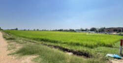 ที่ดินเปล่าล้อมรอบด้วยทุ่งนา บรรยากาศสุดฟิน อ.สรรพยา จ.ชัยนาท