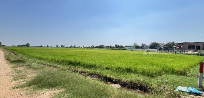 ที่ดินเปล่าล้อมรอบด้วยทุ่งนา บรรยากาศสุดฟิน อ.สรรพยา จ.ชัยนาท