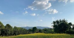 ขายที่ดินเขาใหญ่ สระน้ำใส หมูสี โป่งตาลอง 4 ไร่ ที่ดินพร้อมบ้านสวนหลังเล็ก เทควิวเขาใหญ่ ติดถนนลาดยาง ใกล้ธนะรัชต์ ไม่เปลี่ยว เดินทางสะดวก ใกล้ทอสคาน่า Toscana ปากช่อง ขายด่วน 087-9074045
